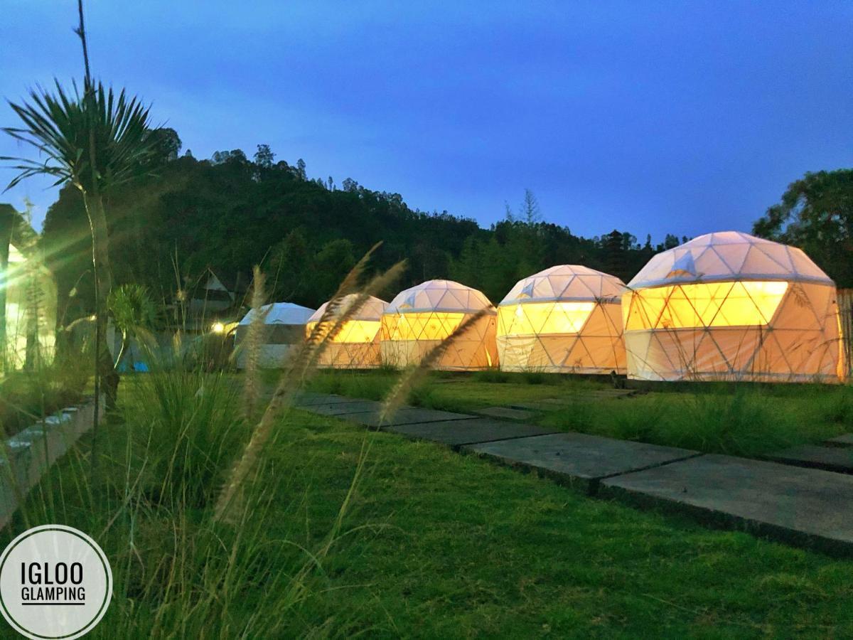 Igloo Glamping Bali Hotell Kintamani Exteriör bild