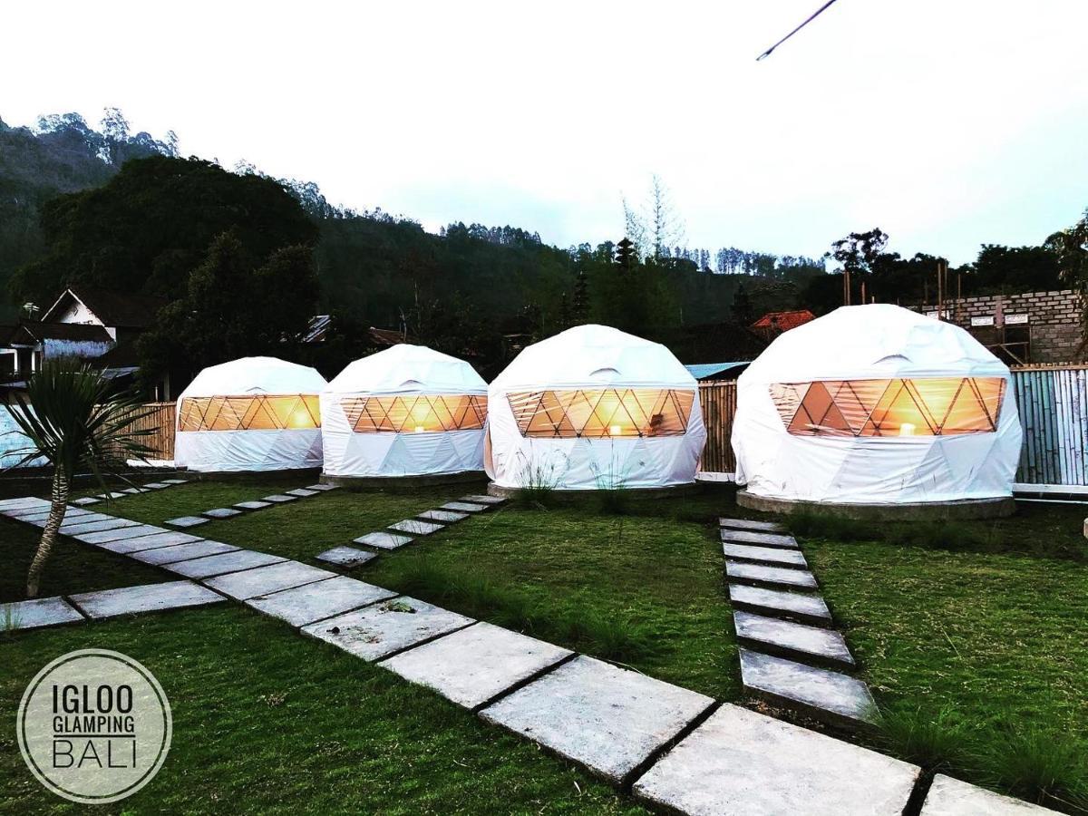 Igloo Glamping Bali Hotell Kintamani Exteriör bild