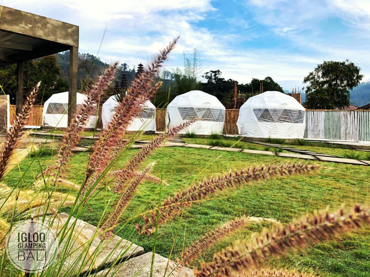 Igloo Glamping Bali Hotell Kintamani Exteriör bild